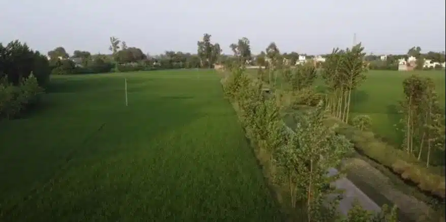 Plot for Sale, Dineshpur/Rudrapur — thumbnail 3