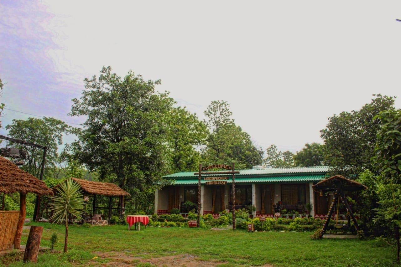 Woodpecker Home Stay — thumbnail 5