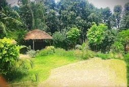 CHAMPIONS BUNGALOW, Corbett Village Homestay — thumbnail 4