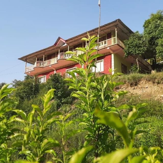 Ghughuti homestay Mukteshwar — thumbnail 3