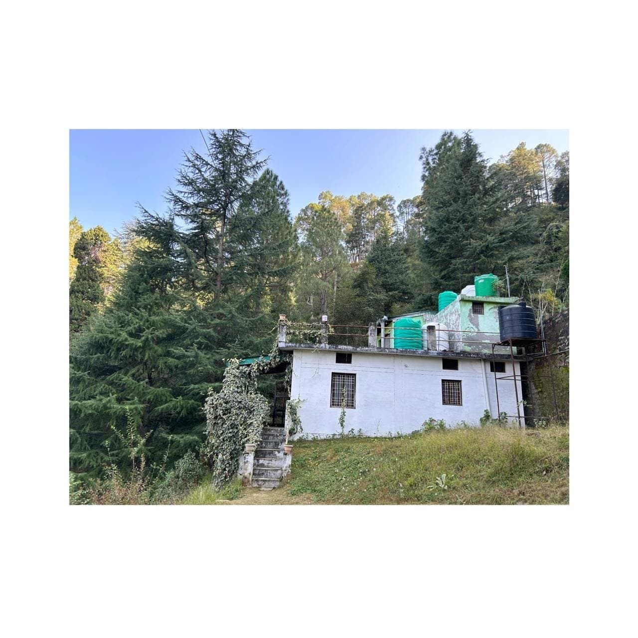 Green Garden Homestay — thumbnail 5