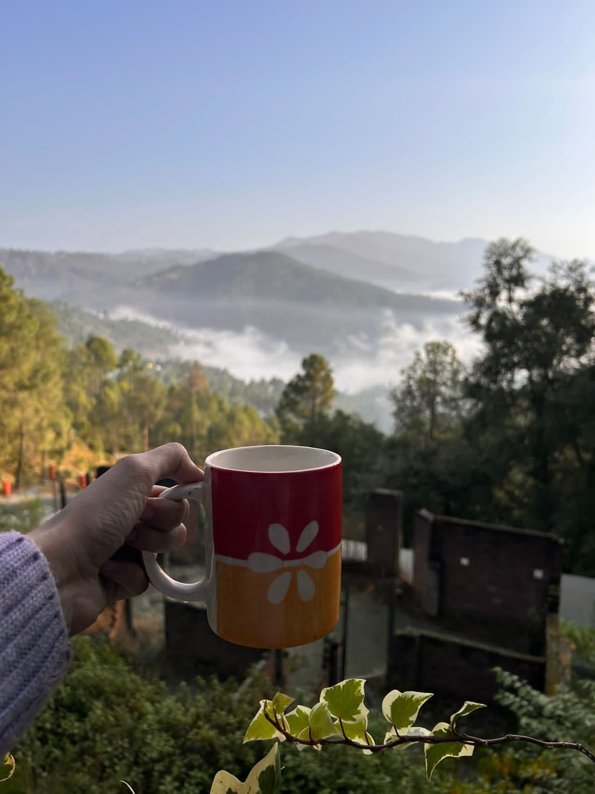 Green Garden Homestay — thumbnail 2