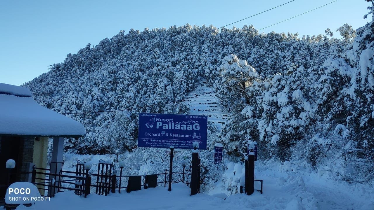 Pailaaag Orchard & Restaurant