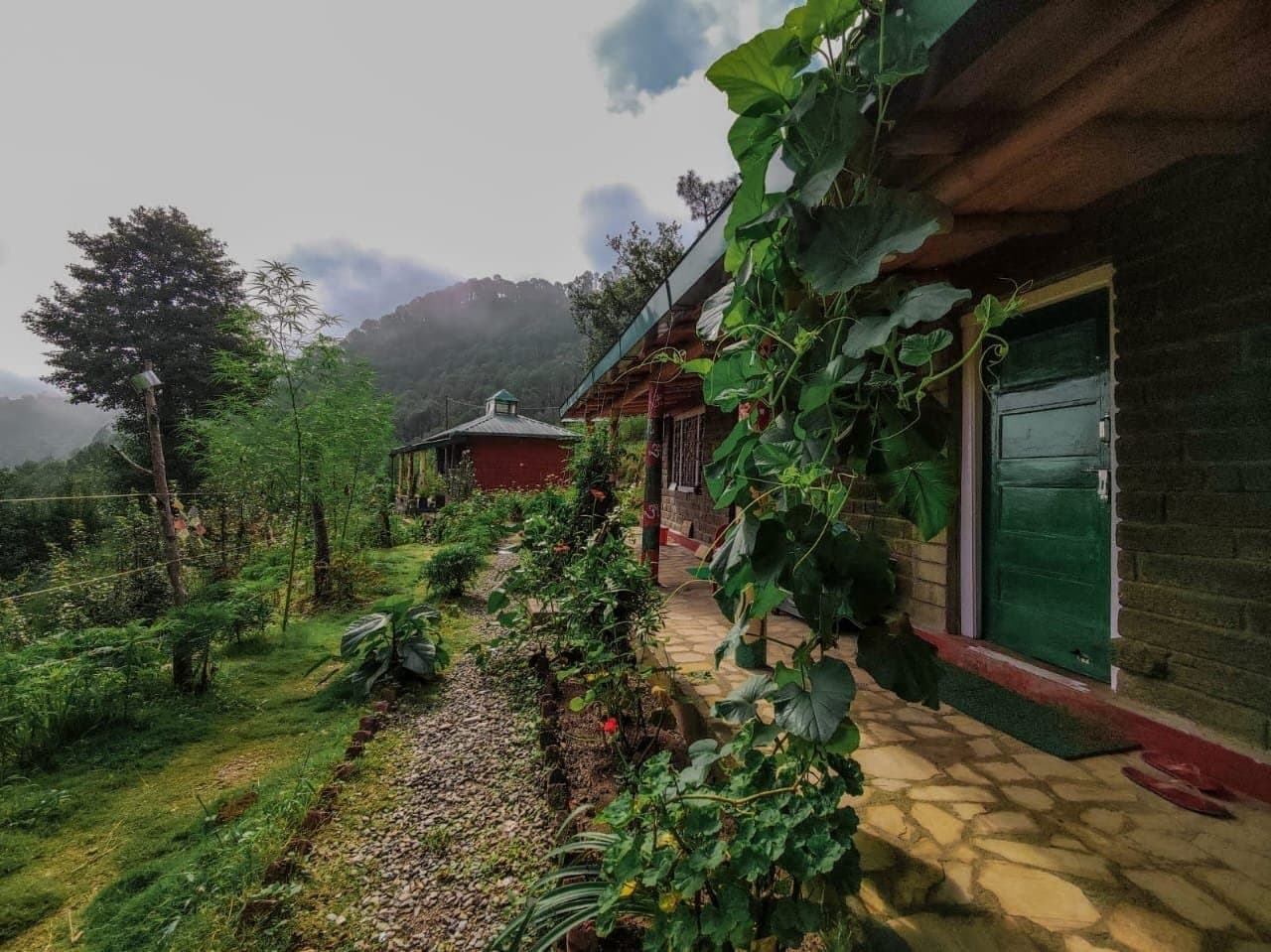 Zen Oaks Home Stay — thumbnail 4