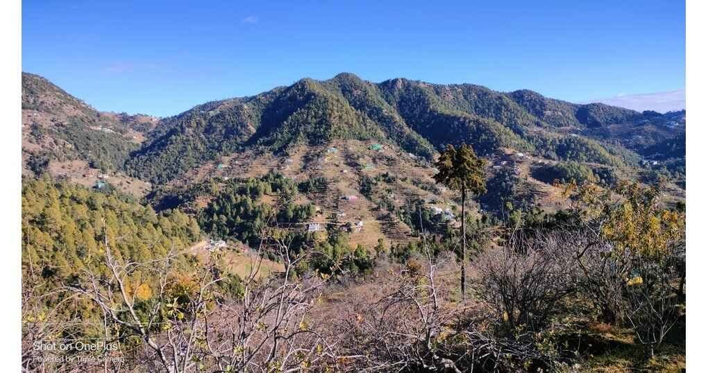 Poosk Homesaty Mukteshwar — thumbnail 5