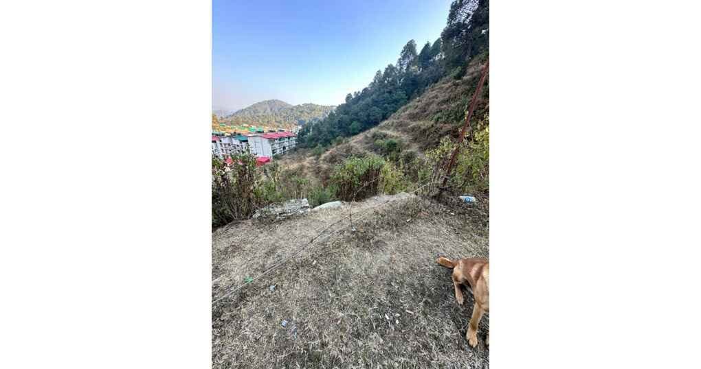 Land For Sale Near Bhowali — thumbnail 2