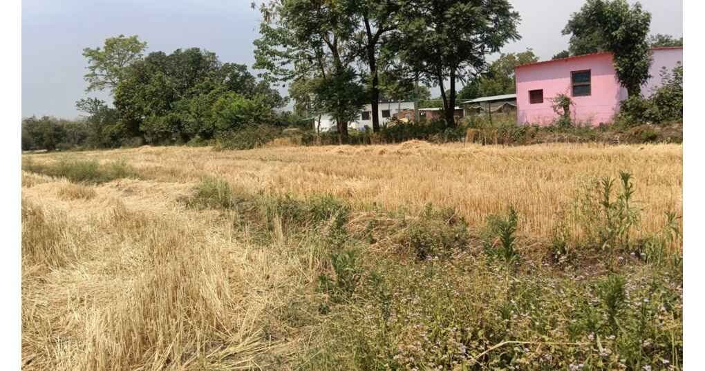 Buy Now 4 Bigha Plot Near Gaulapar, Haldwani — thumbnail 2