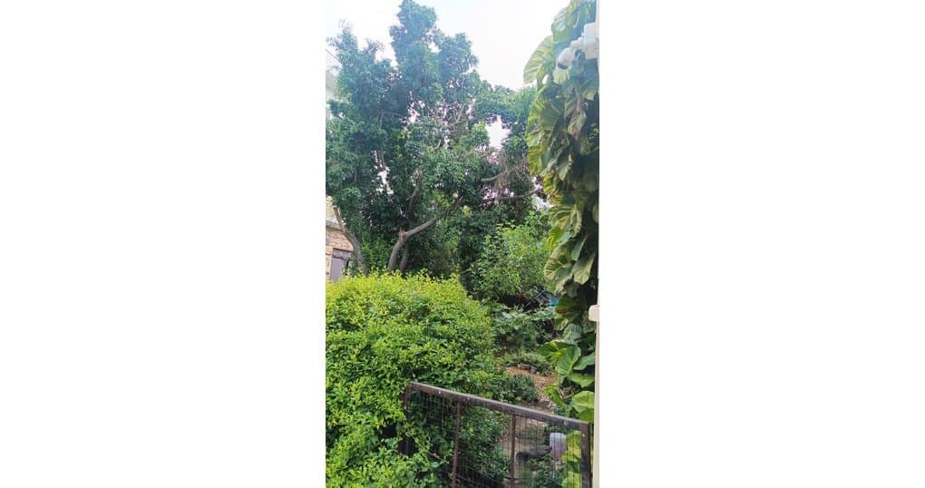 Buy Now 200 Gaj Plot Near Sanjay Nagar, Bareilly — thumbnail 2
