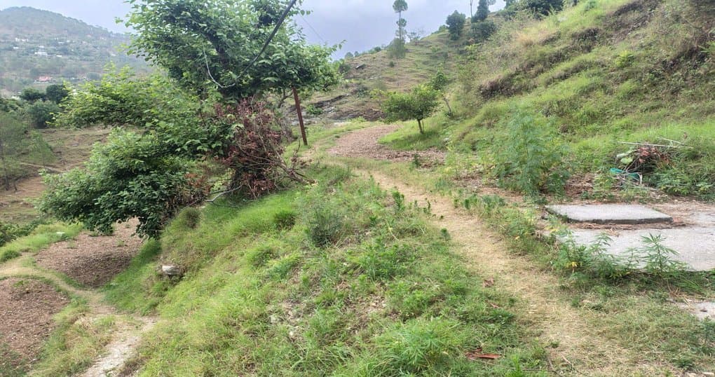 Buy Now 6 Nali Land Near Bhatrozkhan Ranikhet — thumbnail 3