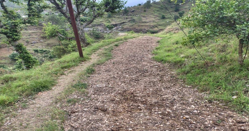 Buy Now 6 Nali Land Near Bhatrozkhan Ranikhet — thumbnail 4