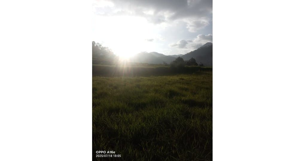 Buy Now 1000 Nali Land Near Someshwar Almora, Uttarakhand — thumbnail 2