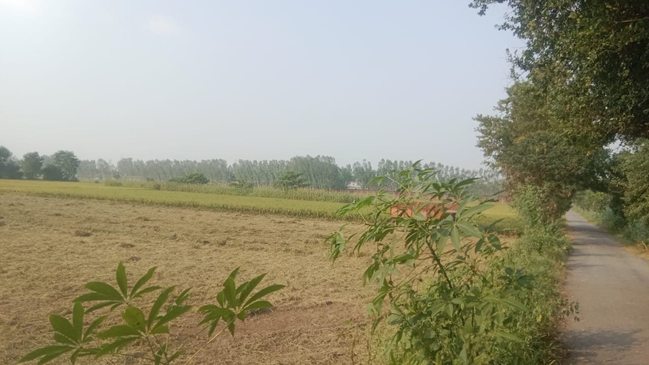 18 Acre Land with Kothi Farm House — thumbnail 4
