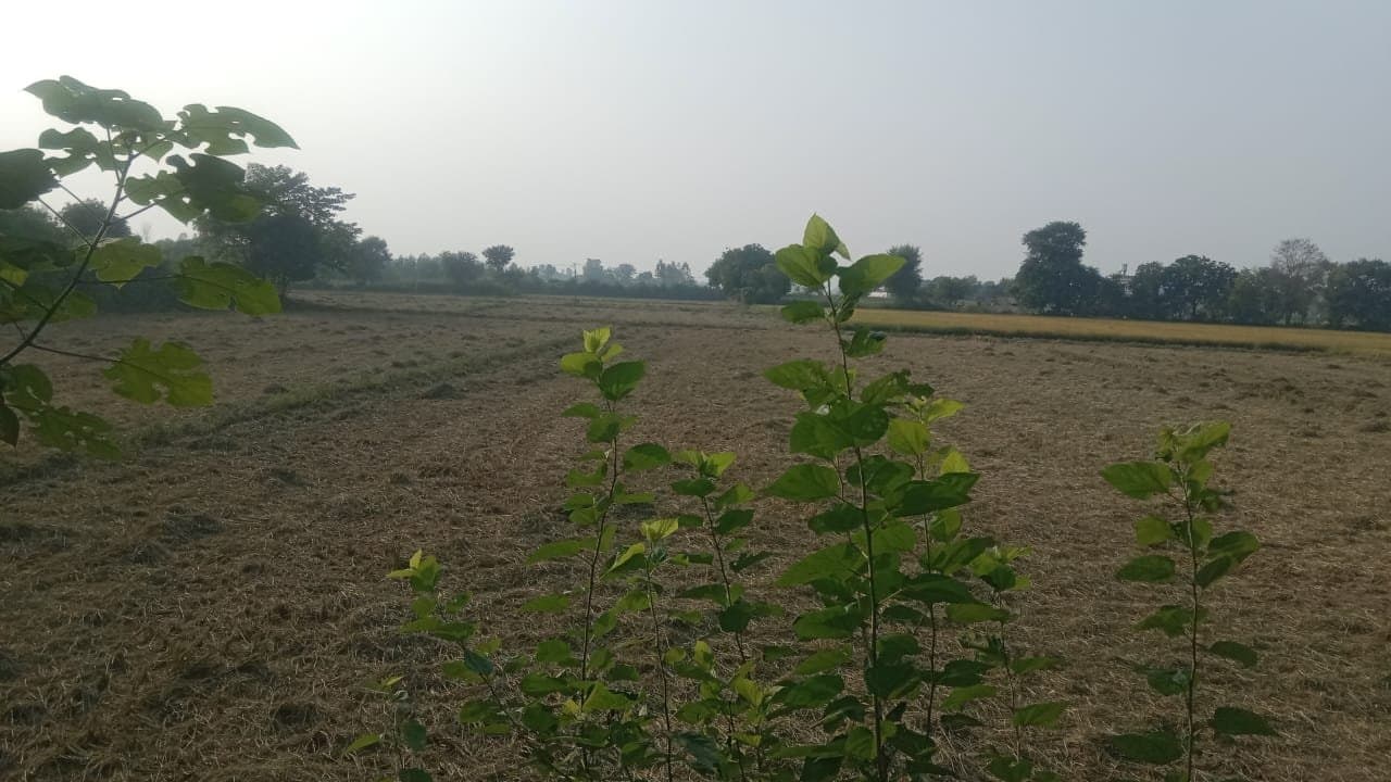 18 Acre Land with Kothi Farm House — thumbnail 3