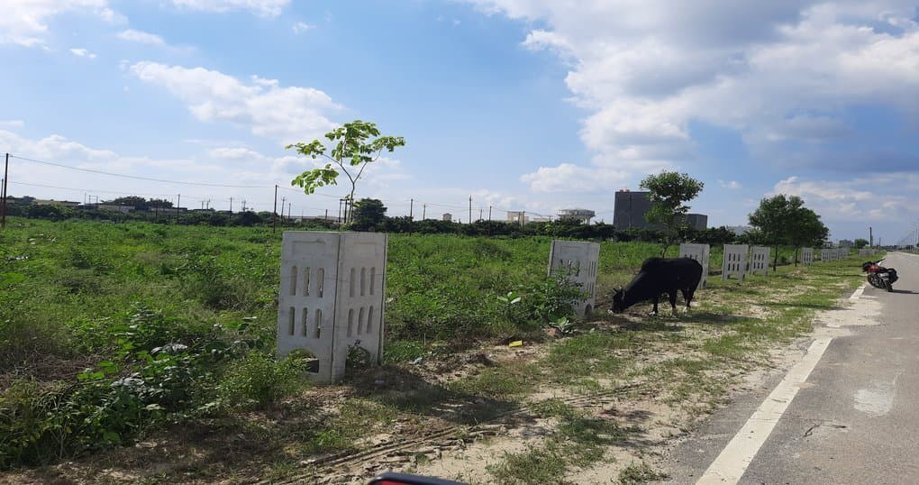 Buy Now 251 Gaj Land Near Dohra Road, Bareilly — thumbnail 2