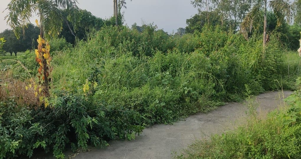 Buy Now 2700 SqFt Land Near Lamachaur, Haldwani — thumbnail 5