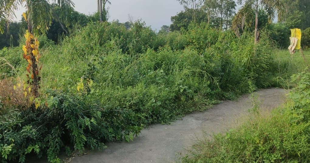 Buy Now 2700 SqFt Land Near Lamachaur, Haldwani — thumbnail 2