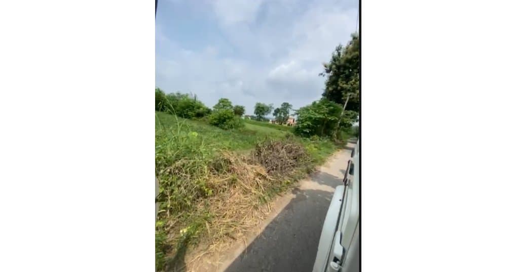 Buy Now 1Bigha Land Near Jim Corbett Ramnagar — thumbnail 2