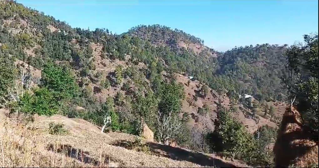 Buy Now 13 Nali Land Near 10 Kilometers Ahead of Seharfatak — thumbnail 4