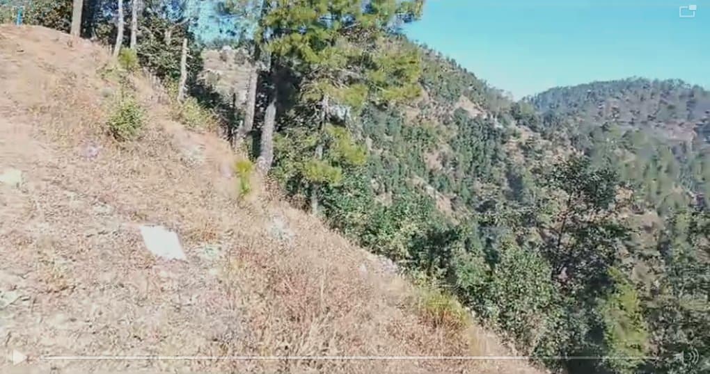 Buy Now 13 Nali Land Near 10 Kilometers Ahead of Seharfatak — thumbnail 2