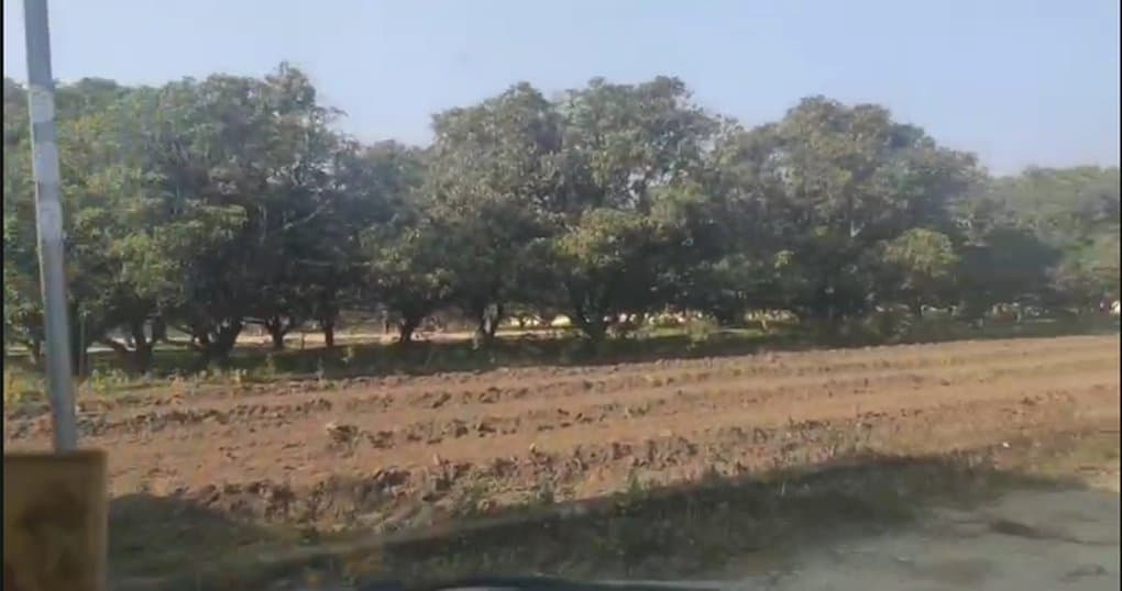 Buy Now 1500 SqFt Land Near M. I. T College Lamachaur Shiv Dham Colony, Haldwani — thumbnail 3