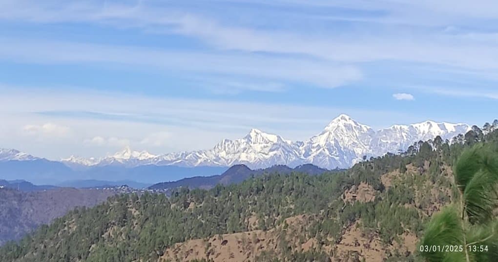 Buy Now 11.83 Nali Land Near Saliyakot Anerpa Road, Mukteshwar — thumbnail 2