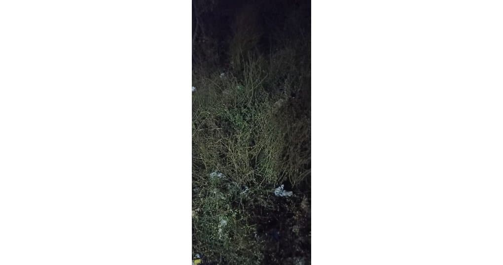 Buy Now 210 Gaj Land Near Vedanta Hospital Dohra Road, Bareilly — thumbnail 2