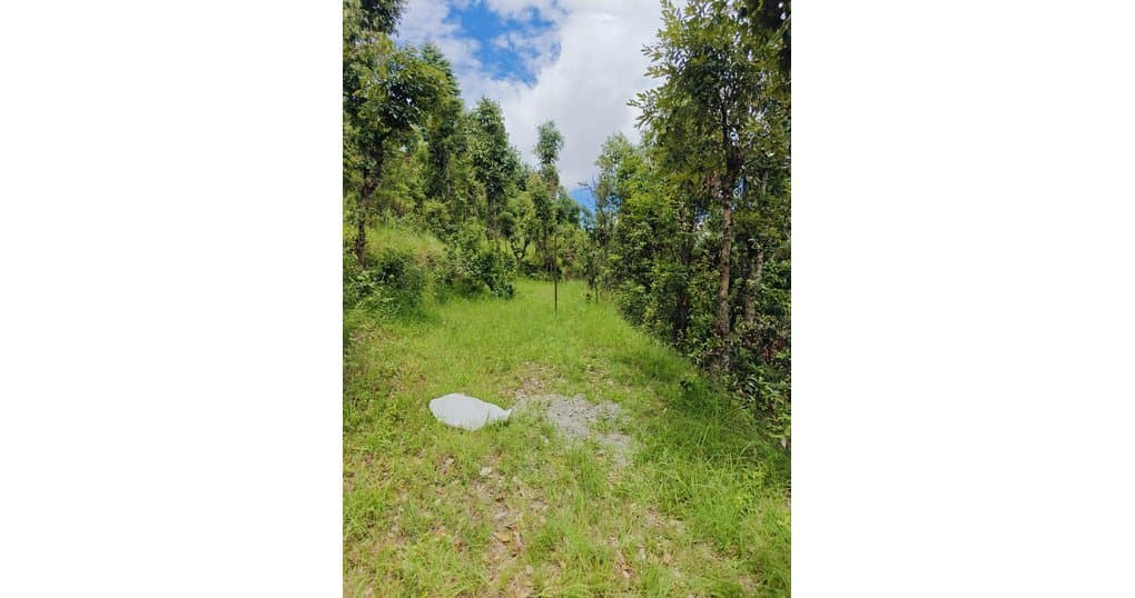 Buy Now 3 nali, 5 nali, 10 nali Land Near Jalna kmvn Lamgra, Almora — thumbnail 2