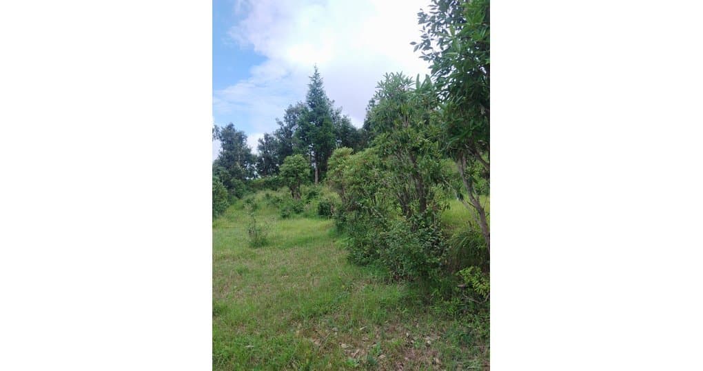 Buy Now 3 nali, 5 nali, 10 nali Land Near Jalna kmvn Lamgra, Almora — thumbnail 3