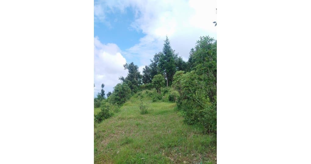 Buy Now 3 nali, 5 nali, 10 nali Land Near Jalna kmvn Lamgra, Almora — thumbnail 4