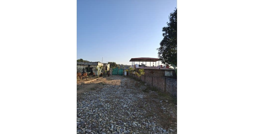 Buy Now 125, 150, 200, 300 Sq Yard Near MDR Road, Chharba, Dehradun — thumbnail 3