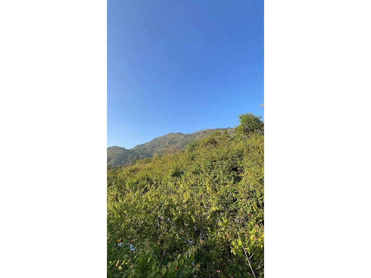 Prime 4.5 Nali Land for Sale in Nakuchiyatal, Nainital