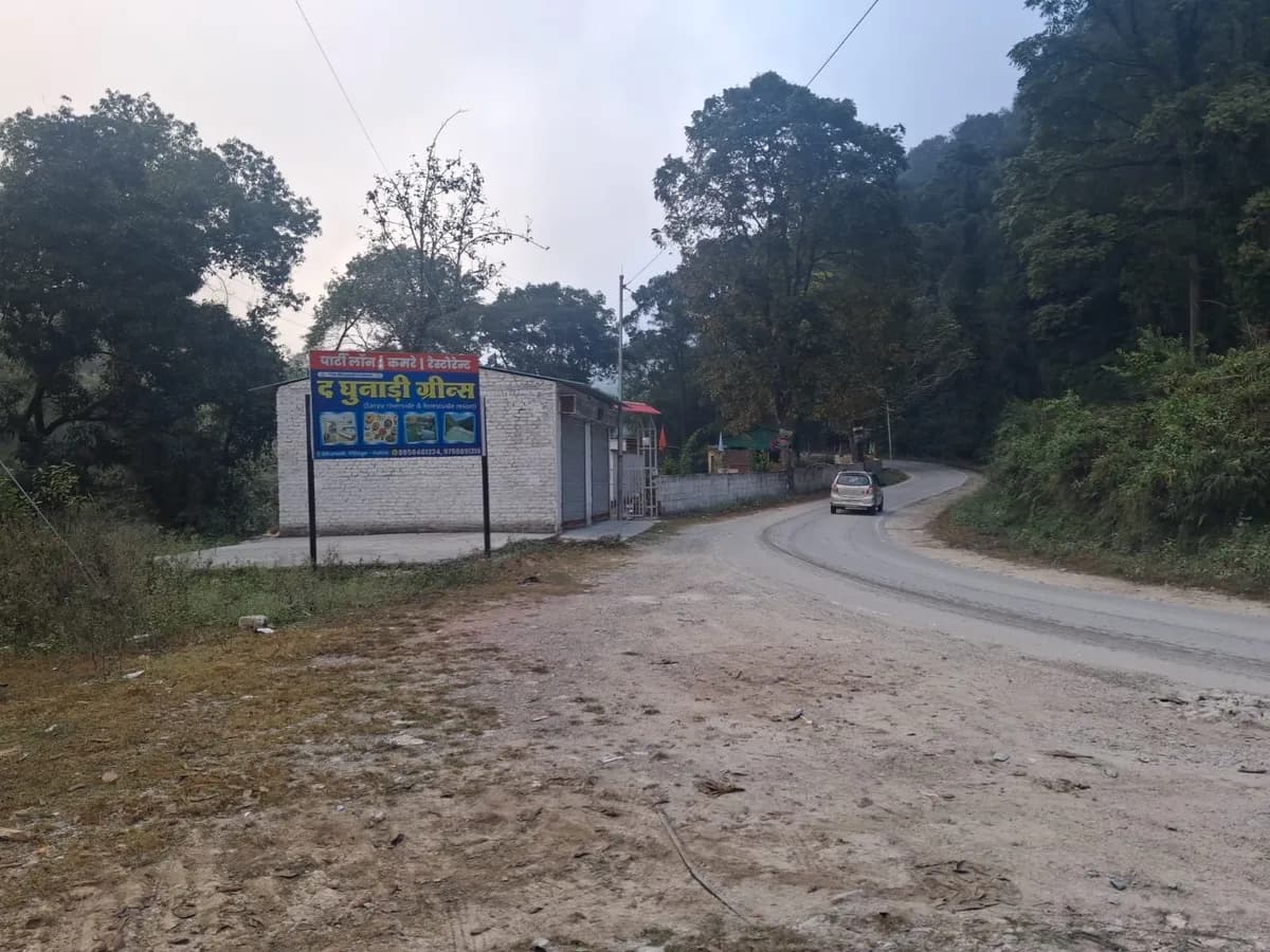 Prime 6 Nali Land for Sale in Golna Bageshwar