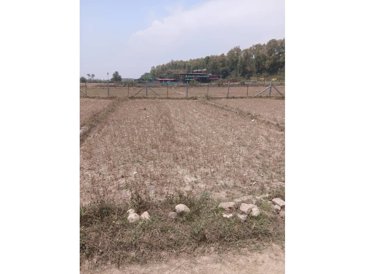 160 Sq. Yard Land for Sale Near Social Baluni School Dehradun