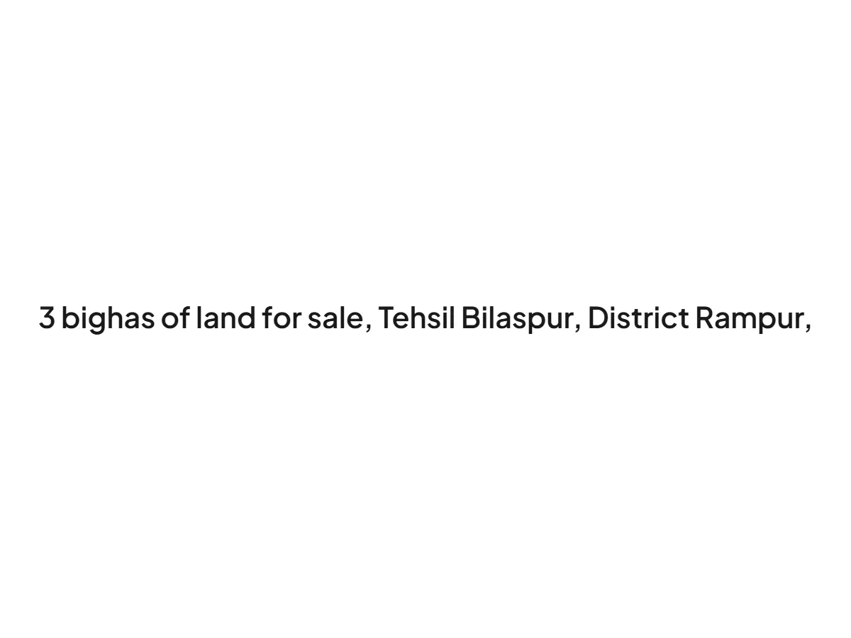 3 Bigha Land for Sale in Bilaspur, Dehradun District