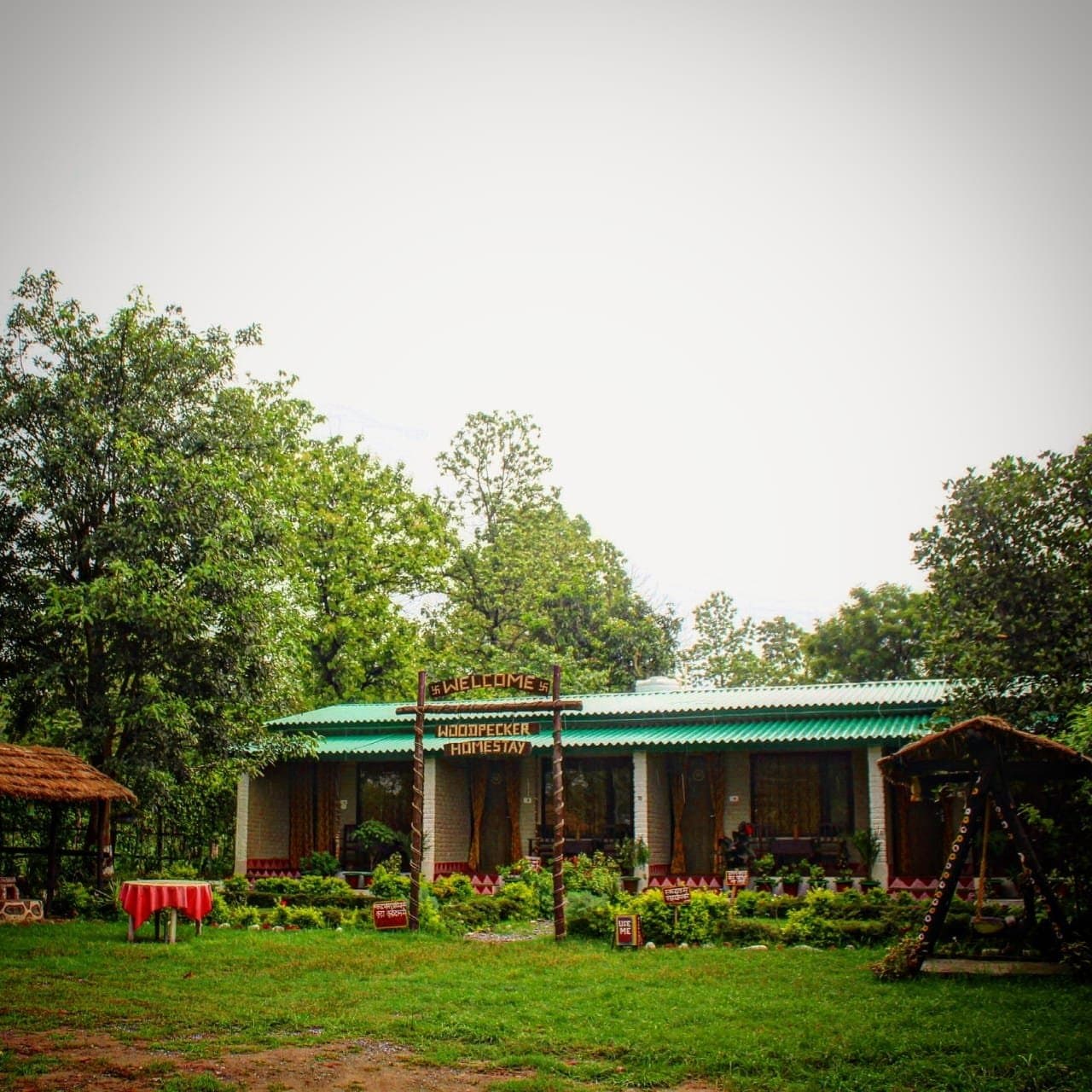 Woodpecker Home Stay