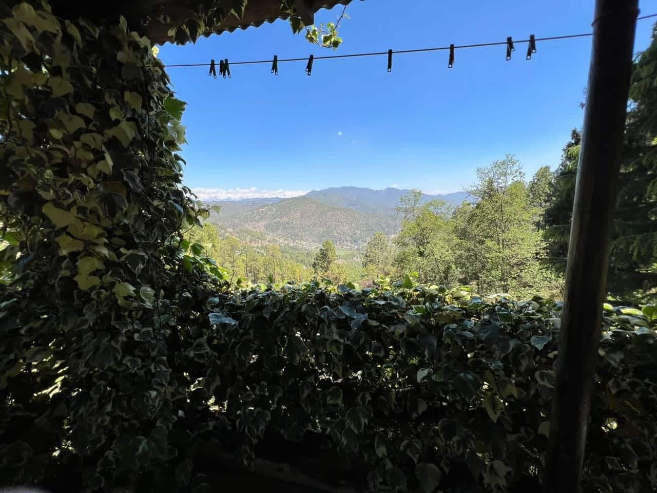 Green Garden Homestay