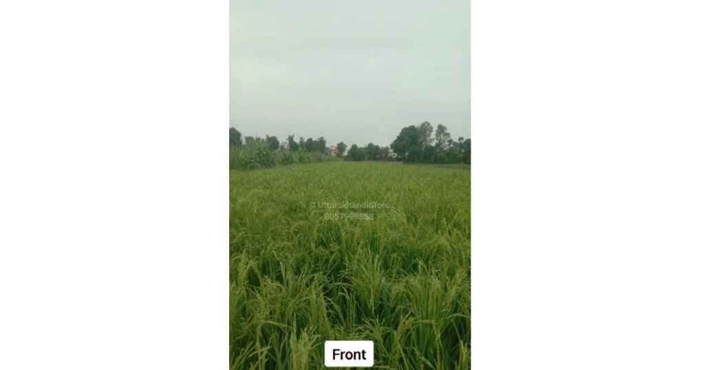Plot For Sale Near Hanuman Mandir Bindukhatta
