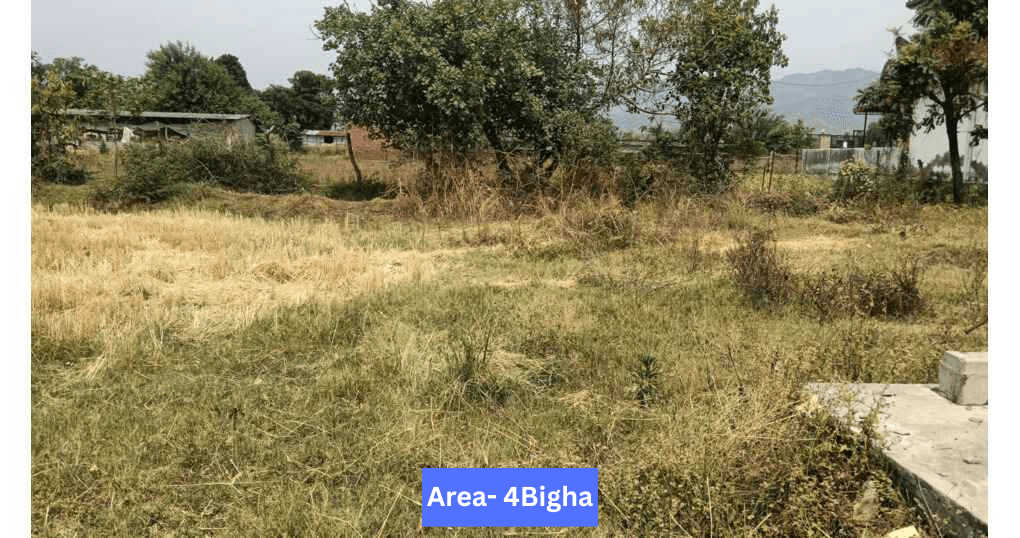 Buy Now 4 Bigha Plot Near Gaulapar, Haldwani