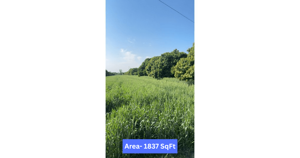 Buy Now 1837 SqFt Plot Near Lachchampur, Golapaar, Haldwani