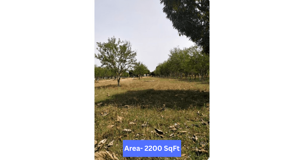 Buy Now 2200 SqFt Plot Near Kalyanpur, Kotabagh