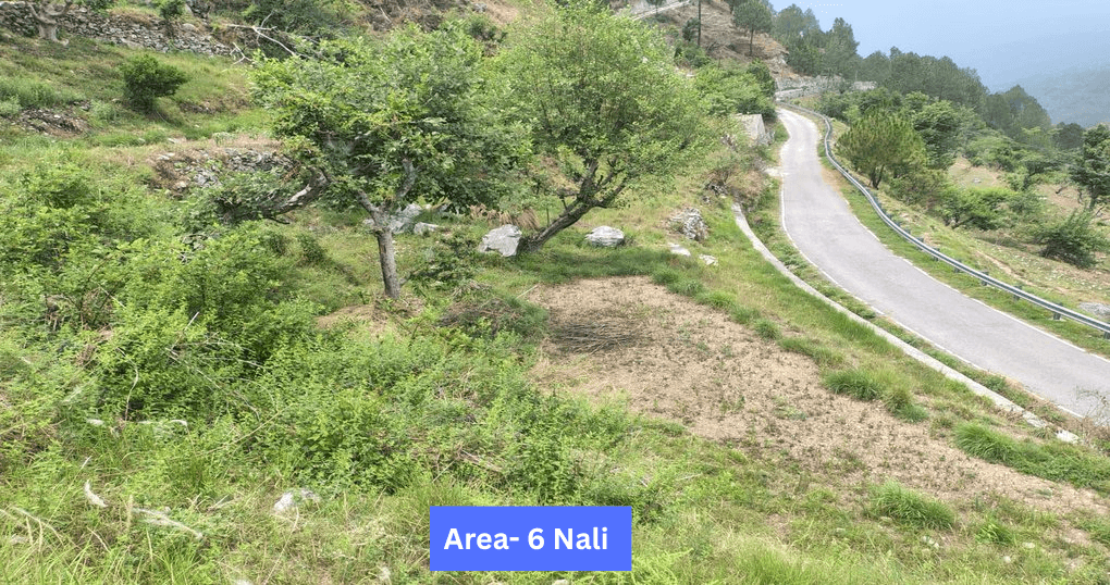Buy Now 6 Nali Land Near Bhatrozkhan Ranikhet