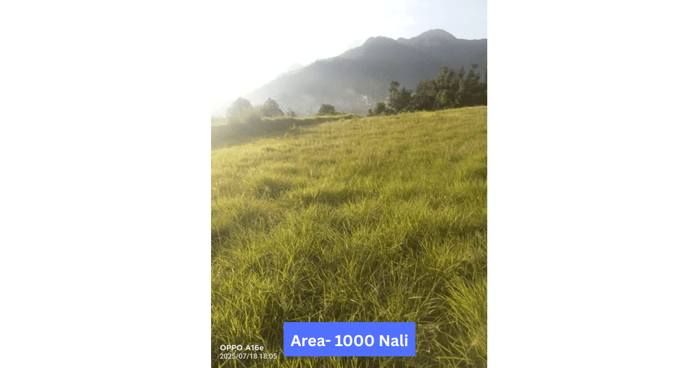 Buy Now 1000 Nali Land Near Someshwar Almora, Uttarakhand