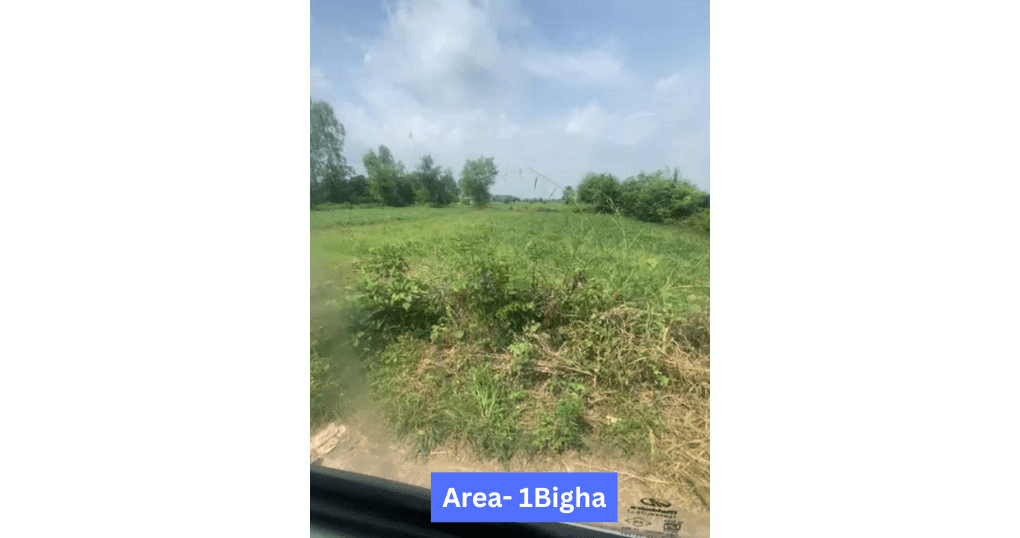 Buy Now 1Bigha Land Near Jim Corbett Ramnagar