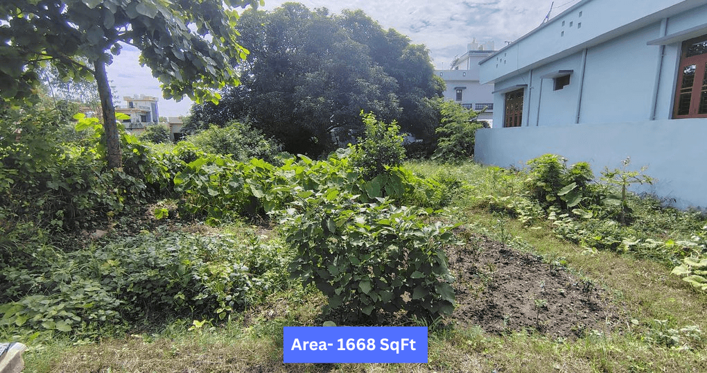Buy Now 1668 SqFt Land Near Phoolchaur Road, Haldupokhra