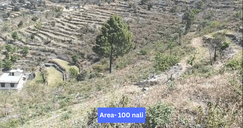 Buy Now 100 Nali Land Near 70 km away from Haldwani