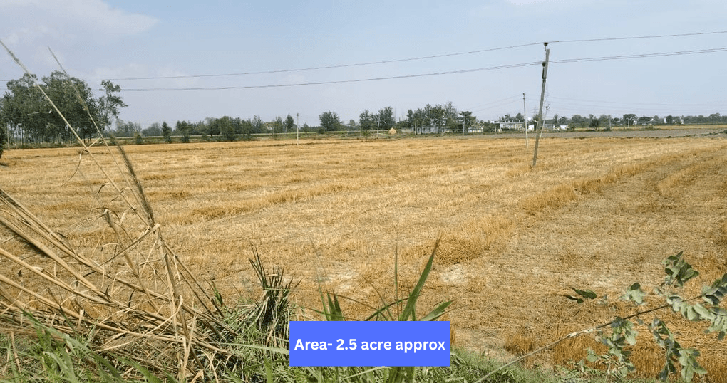 Buy Now 2.5-Acre Land Near Fauji Colony Bazpur, Ludhpura Village