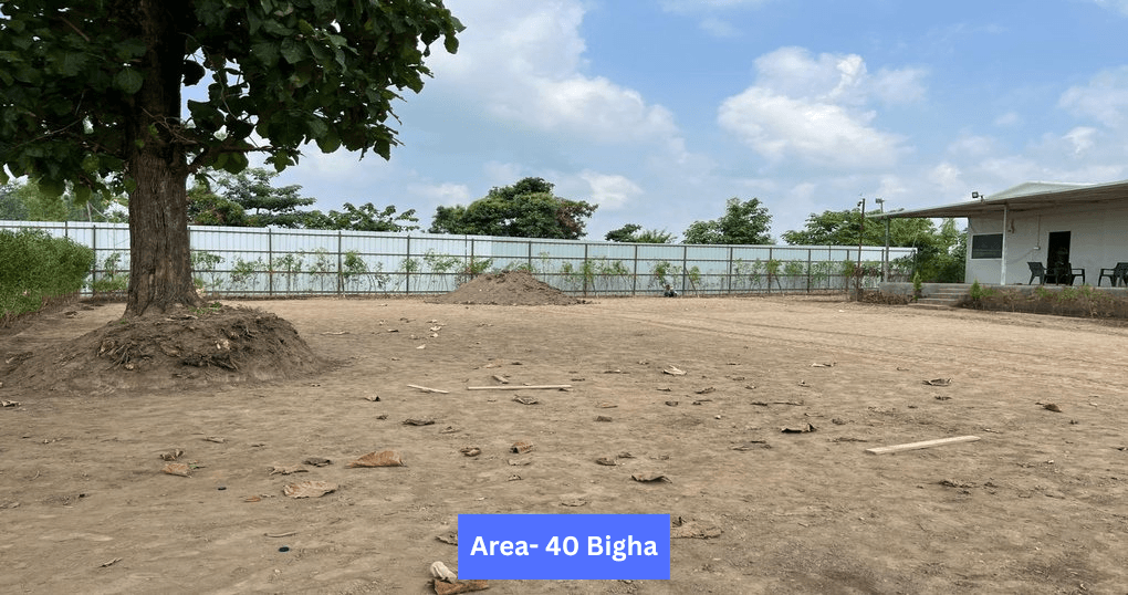 Buy Now 40 Bigha Land Near Jimcorbett Ramnagar