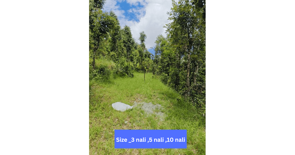 Buy Now 3 nali, 5 nali, 10 nali Land Near Jalna kmvn Lamgra, Almora